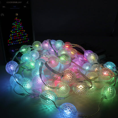 SE-L005 LED Pineapple Decorative String Light With App And Remote Control 5M