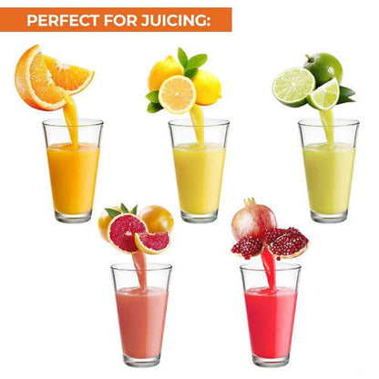 Stainless Steel Juicer Portable Manual Orange Juice Squeezer