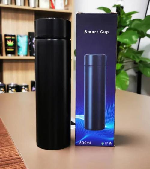 New stainless steel screen smart thermos bottle