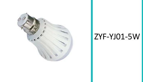 B22 Bulb Emergency Rechargeable  Light