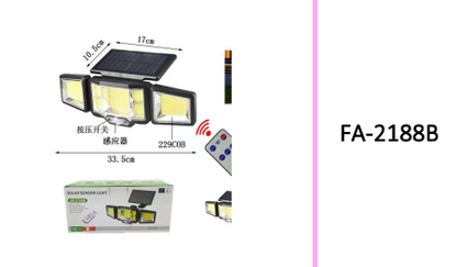 Solar Powered Induction Light