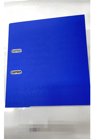 Blue PVC File Folder WB25540