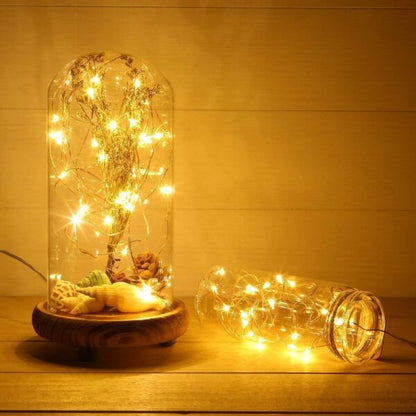 ZYF-88 Copper Wire Battery Operated Fairy Light Warm White 5M