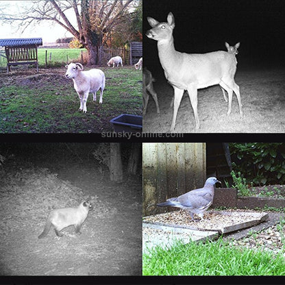 DIGITAL TRAIL CAMERA