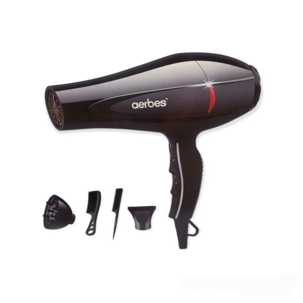 220V Hairdryer 4 in 1 3800W