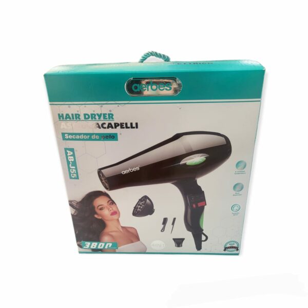 220V Hairdryer 4 in 1 3800W