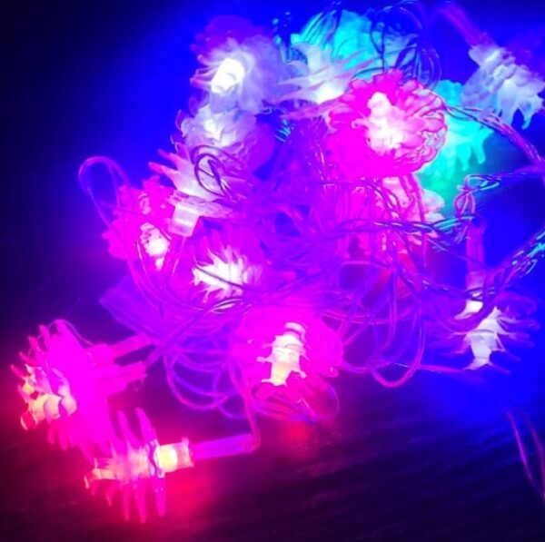 ZYF-56 Pinecone Shaped LED Fairy String Light RGB 5m