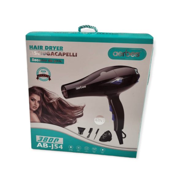 220V Hairdryer 4 in 1 3800W