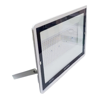 Aerbes AB-T3300 LED Outdoor Flood Light 300W 220V