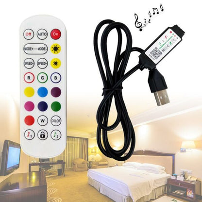 Bluetooth RED 2021-24 Key With Lamp Remote Control