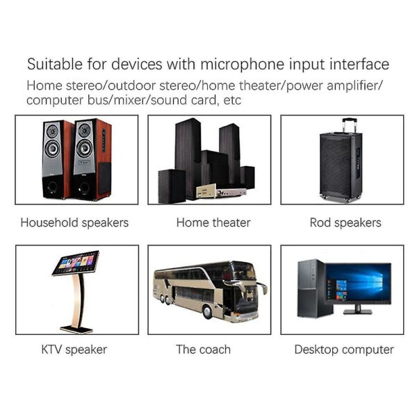 Professional Wireless Microphone