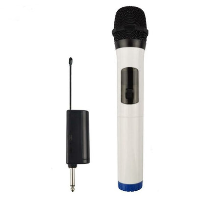 Professional Wireless Microphone