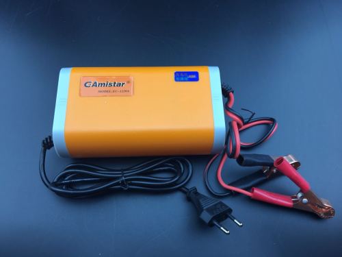 Intclligent 12V 20A Pulse Charger